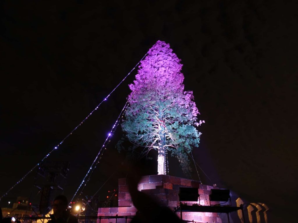神戸 メリケンパーク 世界一のクリスマスツリー 点灯式 レポ