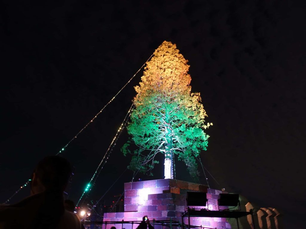 神戸 メリケンパーク 世界一のクリスマスツリー 点灯式 レポ