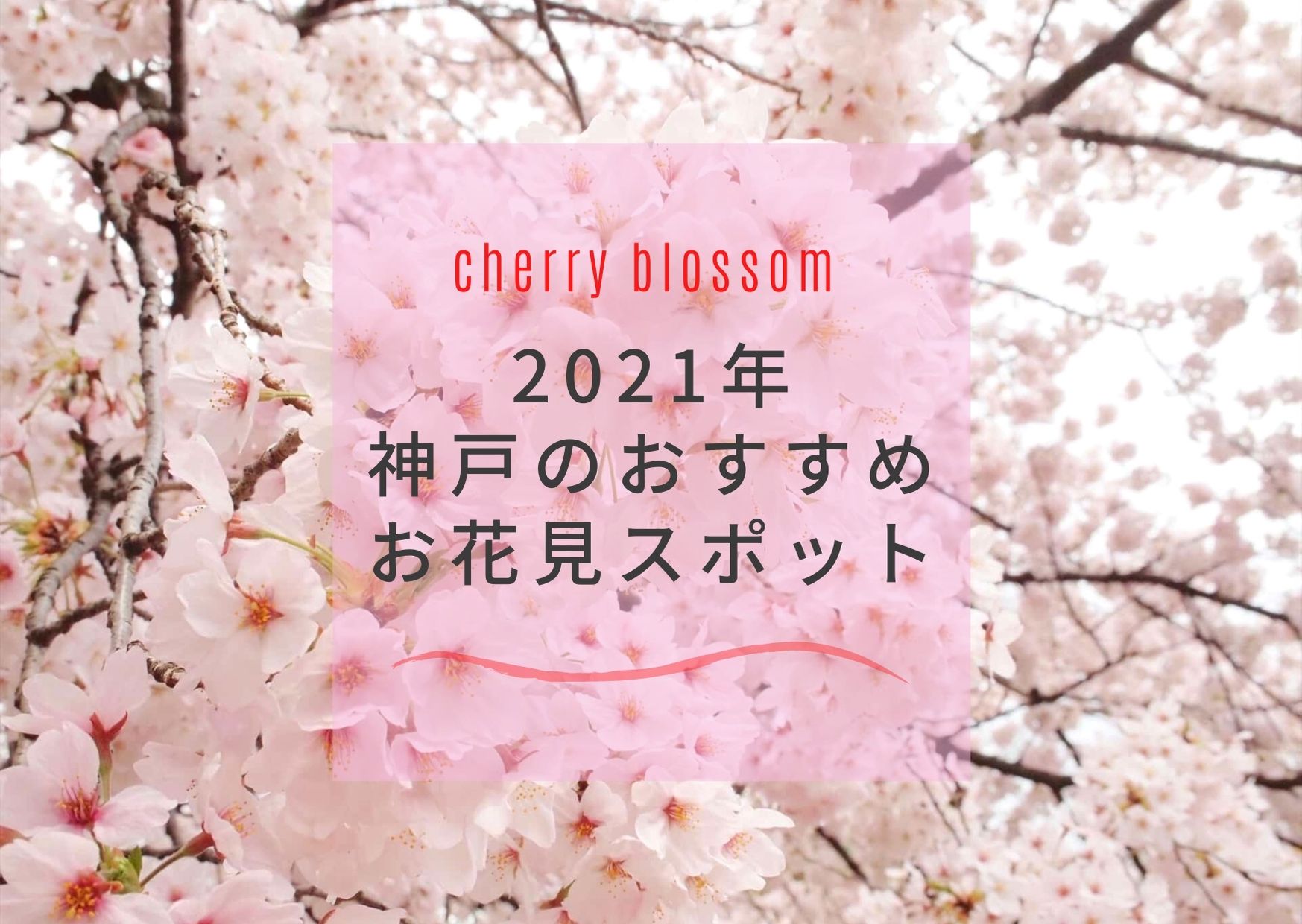 桜21 神戸でお花見 おすすめ 穴場の桜スポット9選 開花予想日 満開予想日も